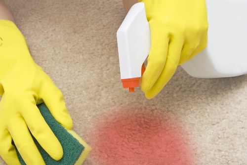 Professional pet stain odour removal in Cranford on carpet