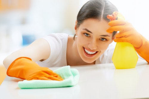Professional carpet cleaning equipment and service introduction