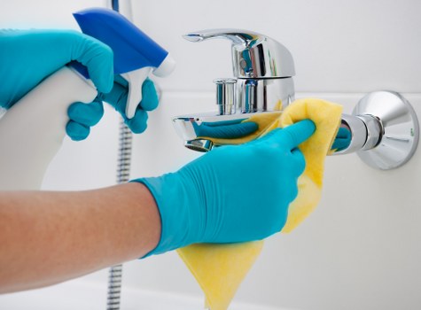 Deep carpet treatment for pet stain odour removal Cranford