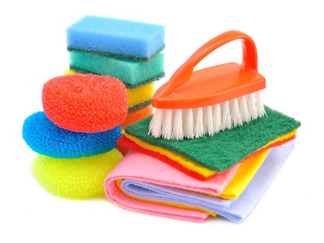 Professional cleaner assessing a carpet before treatment