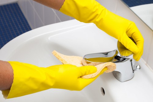 Cleaning pet odours from upholstery in a Cranford home