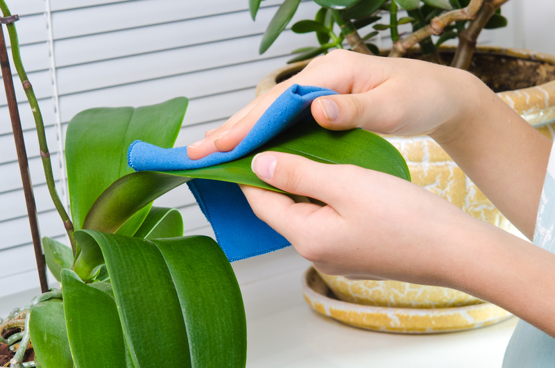 tenancy cleaning Upholstery cleaning